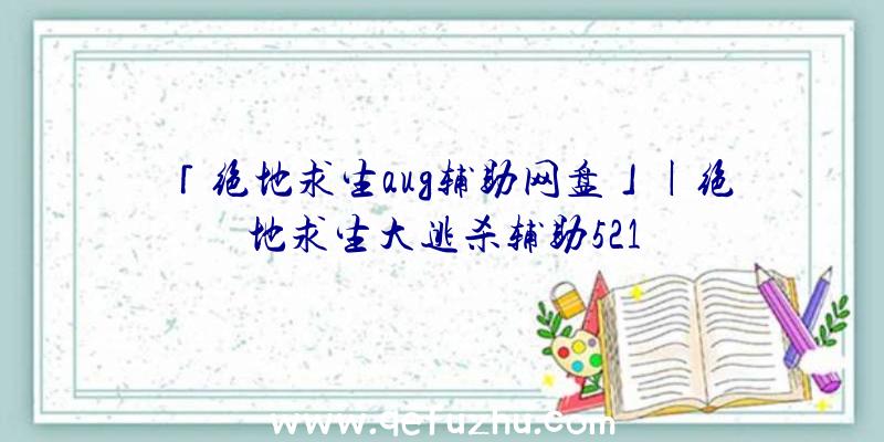 「绝地求生aug辅助网盘」|绝地求生大逃杀辅助521